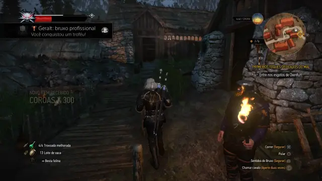 The Witcher 3 — 23