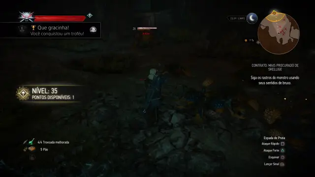 The Witcher 3 — 24