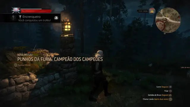 The Witcher 3 — 28