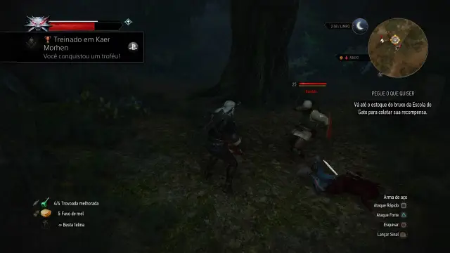 The Witcher 3 — 69