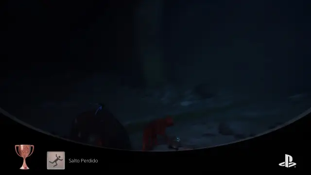 Stray — vídeo 1