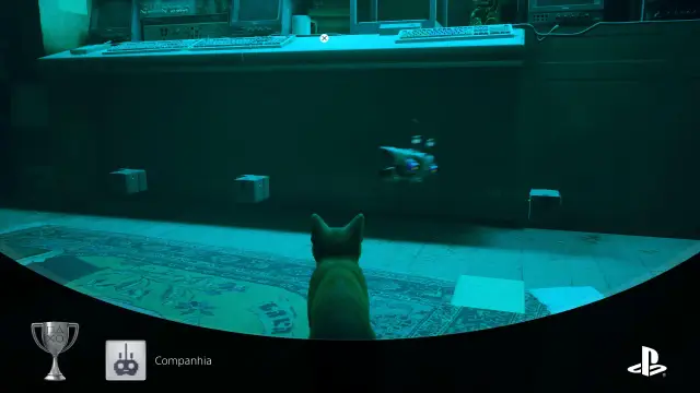 Stray — 2
