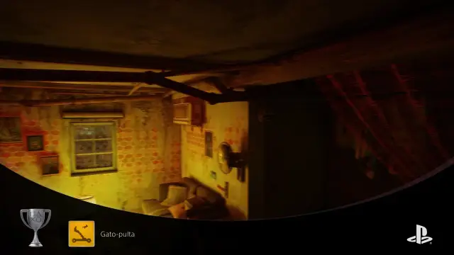 Stray — vídeo 5