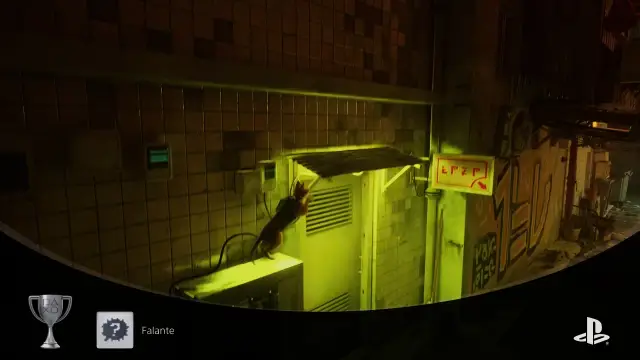 Stray — vídeo 6