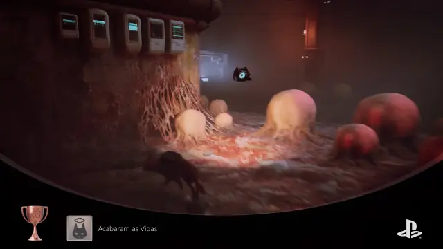 Stray — vídeo 7