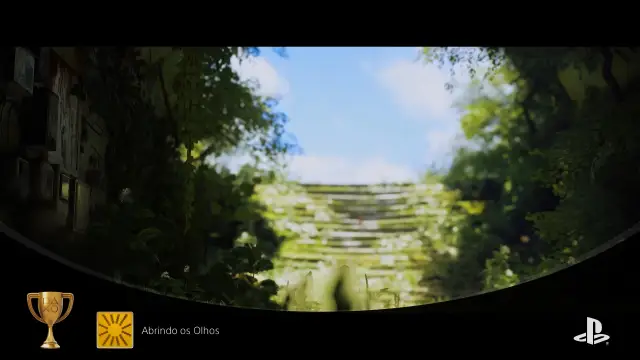 Stray — vídeo 12
