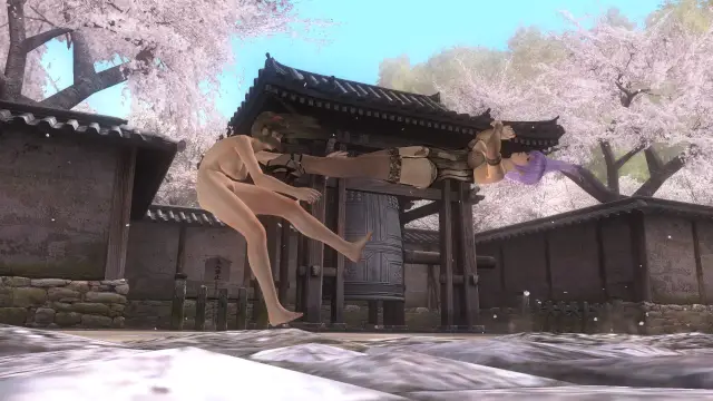 Dead or Alive 5 Last Round — 12